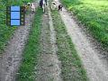 2010-05-03 08 M